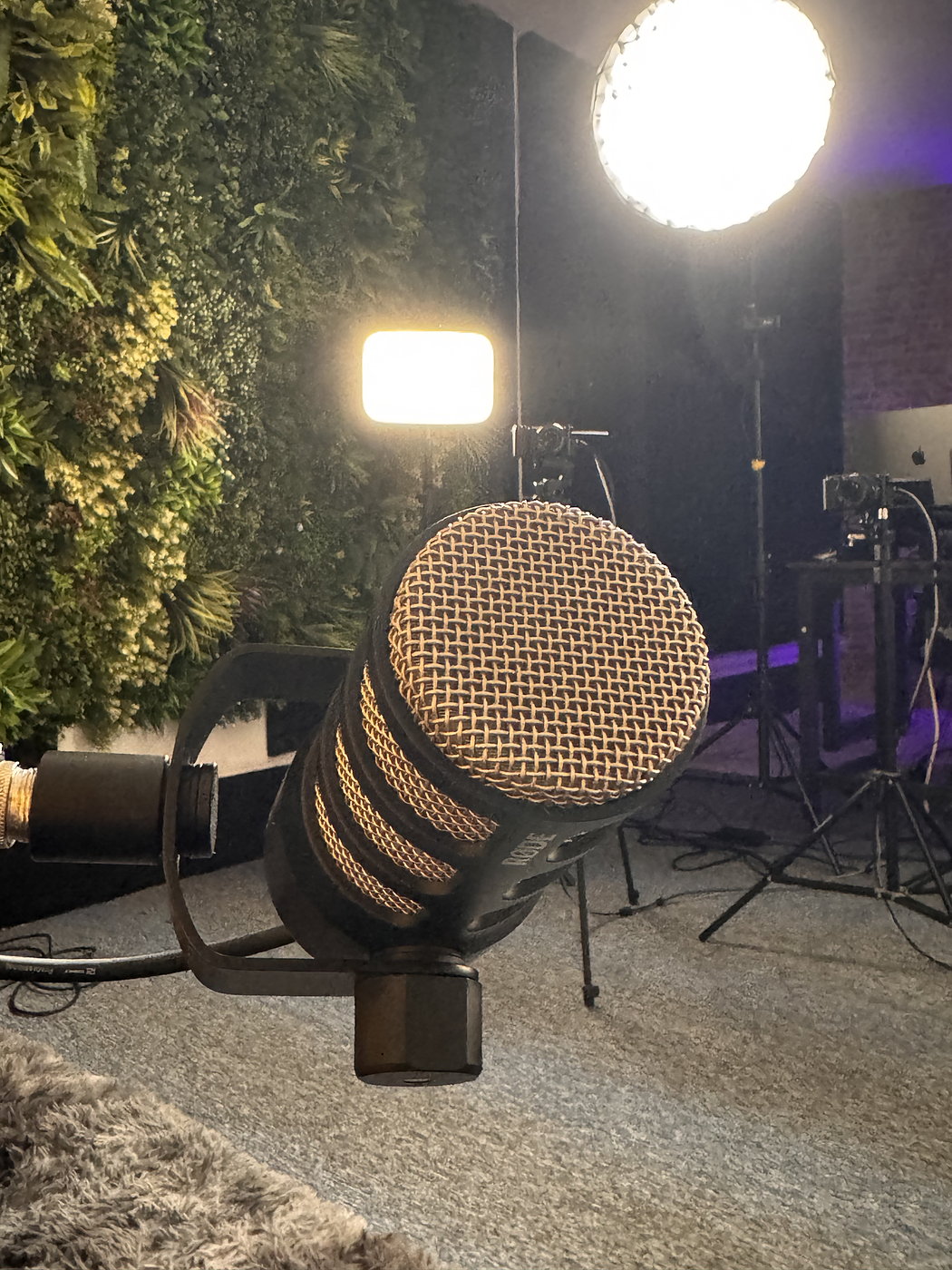 Broadcast microphone and lighting