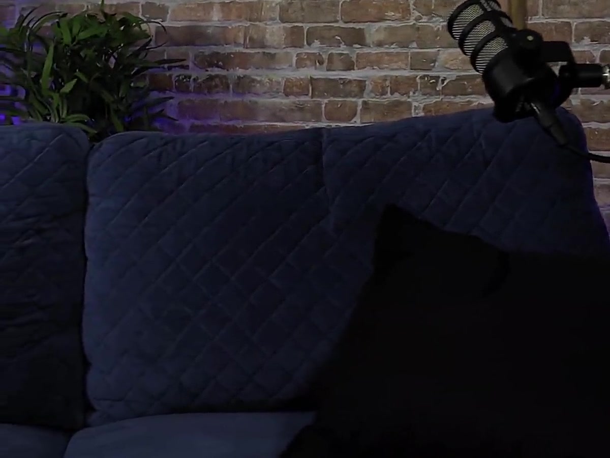 Sofa and Yellow Chairs setup