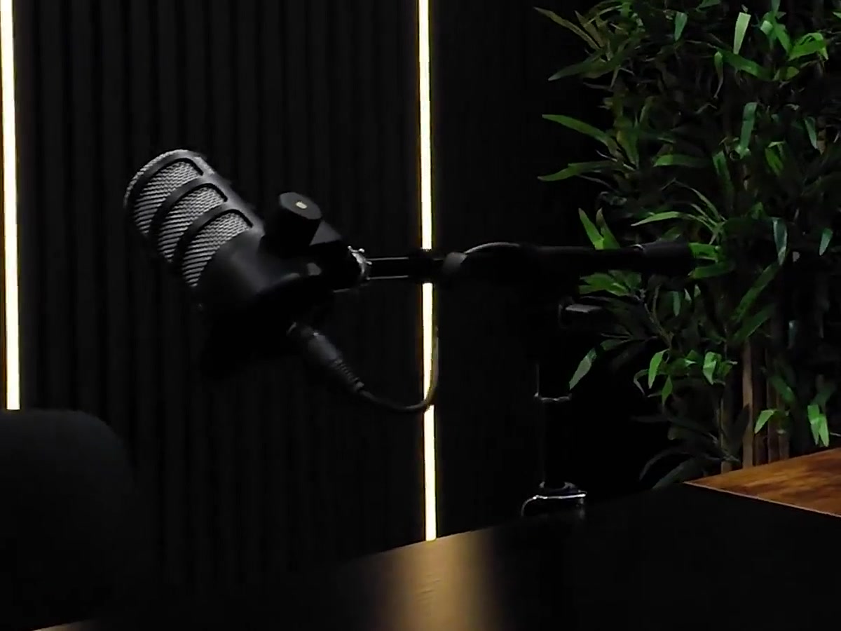 Solo with Wood Panel and LED setup